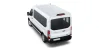 Blanco - Imagen 2