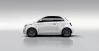 Blanco - Imagen 3