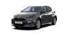 Gris Trueno - Imagen 1