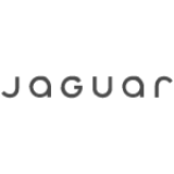 Jaguar segunda mano