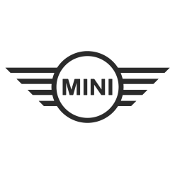 MINI PACEMAN