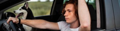 Quitar los pelos de perro en el coche