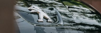 Peugeot, Hyundai.