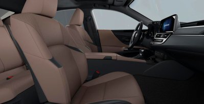 Lexus ES 2.5 300h Premium interior delantera II