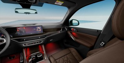 BMW X6 xDrive30d M Sport interior delantera 2