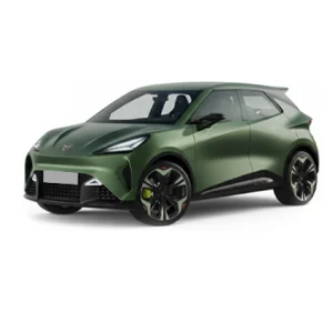Cupra Raval