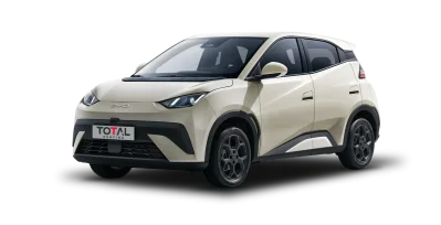 BYD Dolphin Surf Boost