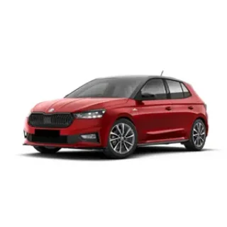 Skoda Fabia segunda mano