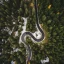 Renting de coches 50000 Km año | Particulares, Empresas - kilometraje