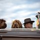 Viaja con tu perro en el coche de manera legal. ¡Te contamos cómo!