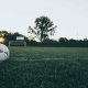Los jugadores del Inter de Milán y sus coches más lujosos