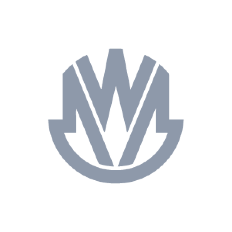 Logo MW Motors