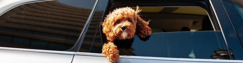 fundas-asientos-coches-mejores