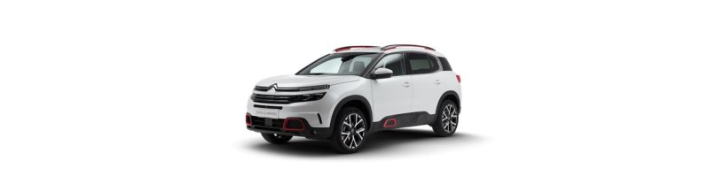 Coches que parecen deportivos