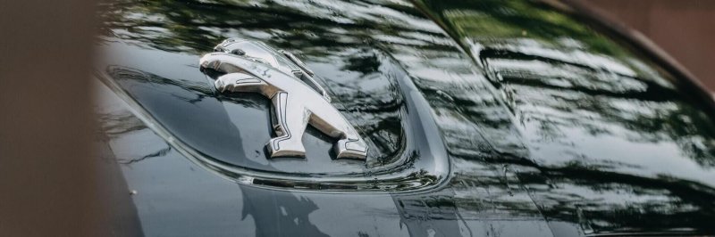 Peugeot, Hyundai.