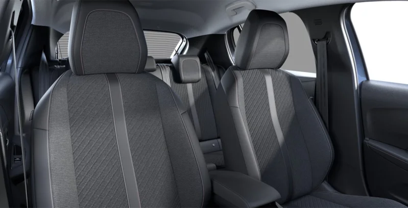 Gris artense - Imagen 6