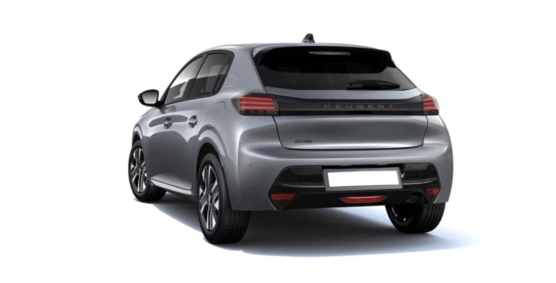 Gris artense - Imagen 2