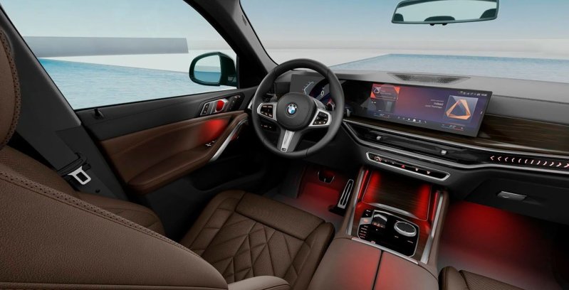 BMW X6 xDrive30d M Sport interior delantera