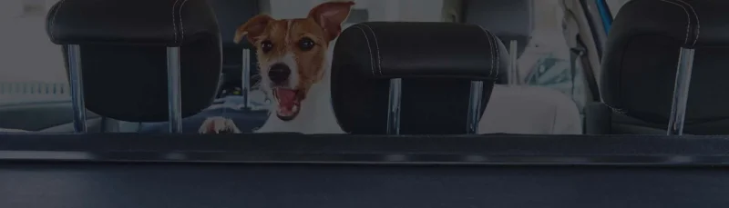 Renting Infinity Q50 | Particulares, Empresas y Autónomos - Shortcode fondo 328