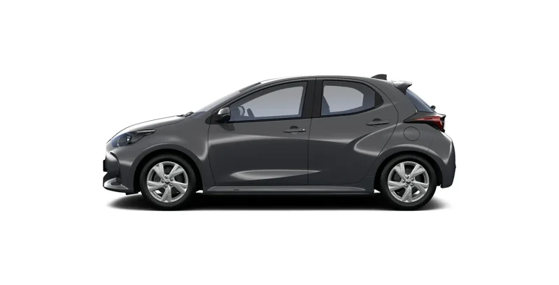 Gris Trueno - Imagen 2