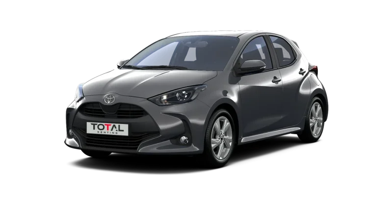 Gris Trueno - Imagen 1
